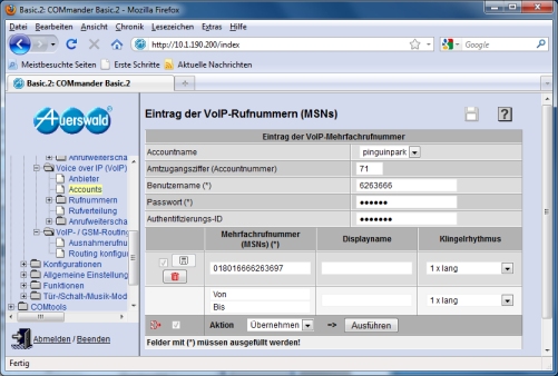Konfiguration VoIP im Detail